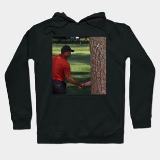 Tiger Tree Meme Hoodie